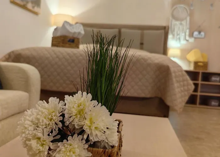 Apartment влас комплекс амфора , студио 704