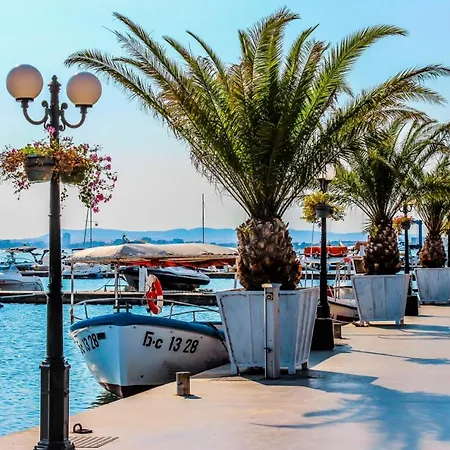 влас комплекс амфора , студио 704