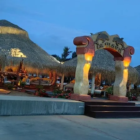 влас комплекс амфора , студио 704 *