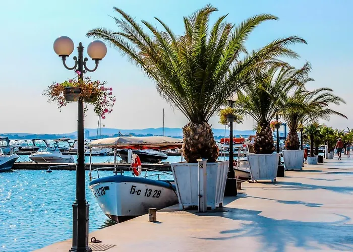 влас комплекс амфора , студио 704